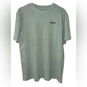 Patagonia Fitz Roy Bison Responsibili-Tee sz M Heathered Green short sleeve